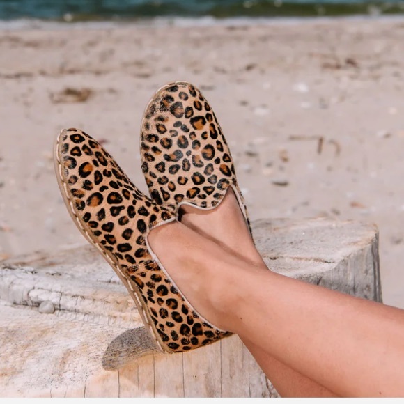 Loose Leopard Sabah - Picture 11 of 11